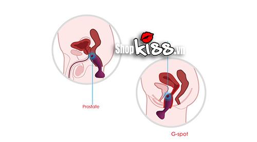 Dụng Cụ Kích Thích Hậu Môn Svakom Julie Chính Hãng Mỹ Giá Tốt