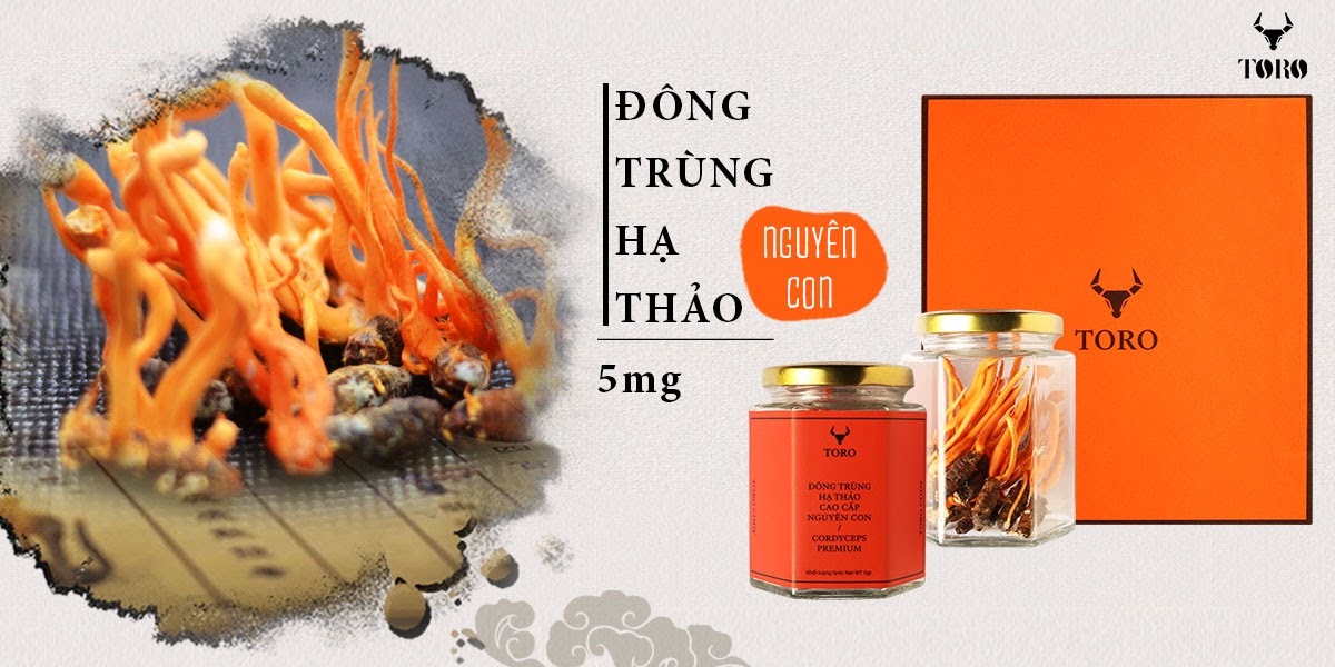 Đông trùng hạ thảo nguyên con 5g tăng sinh lý bồi bổ sức khỏe Đông trùng hạ thảo nguyên con 5g tăng sinh lý bồi bổ sức khỏe