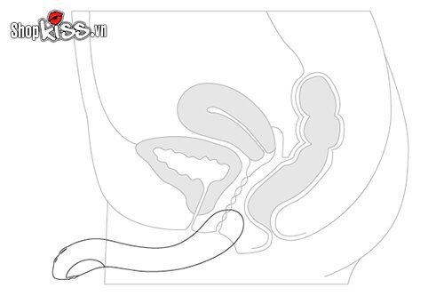 Dụng Cụ Kích Thích Điểm G Lovense Osci 2 Điều Khiển App Từ Xa