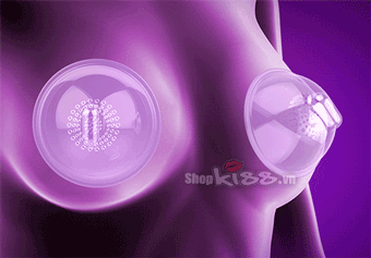 Máy mát xa ngực Mmimi Leten rung kích thích phát triển 6 chế độ