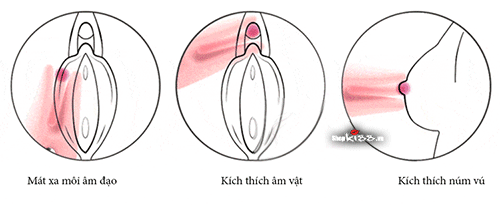 Máy rung Svakom Cookie Candy kích thích nhũ hoa điểm G siêu thích
