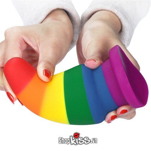 Phích Cắm Hậu Môn Silicone Prider 6.0 Đa Sắc Kích Thích
