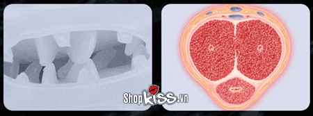 Cốc thủ dâm nam Leten Spinner tự động rung xoay sục mạnh
