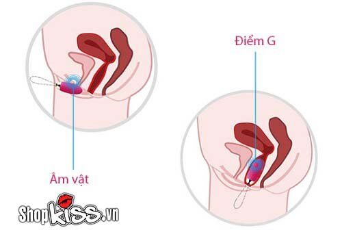 Trứng rung điều khiển từ xa Svakom Elva cao cấp silicon chính hãng Mỹ