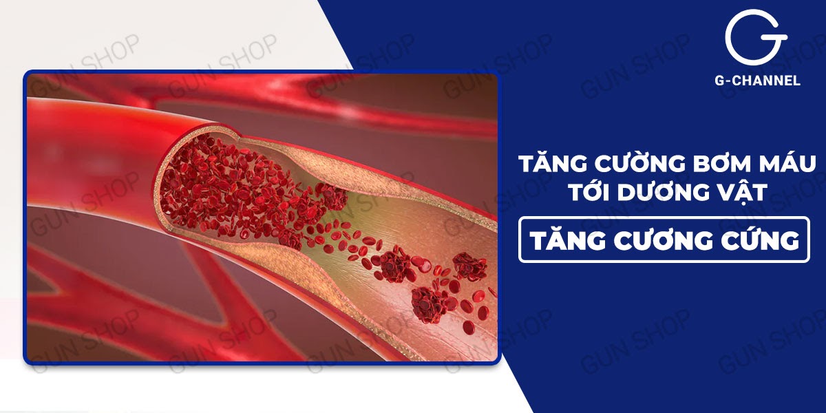 Viên uống Majegra hỗ trợ cương dương mạnh mẽ hộp 4 viên Viên uống Majegra hỗ trợ cương dương mạnh mẽ hộp 4 viên