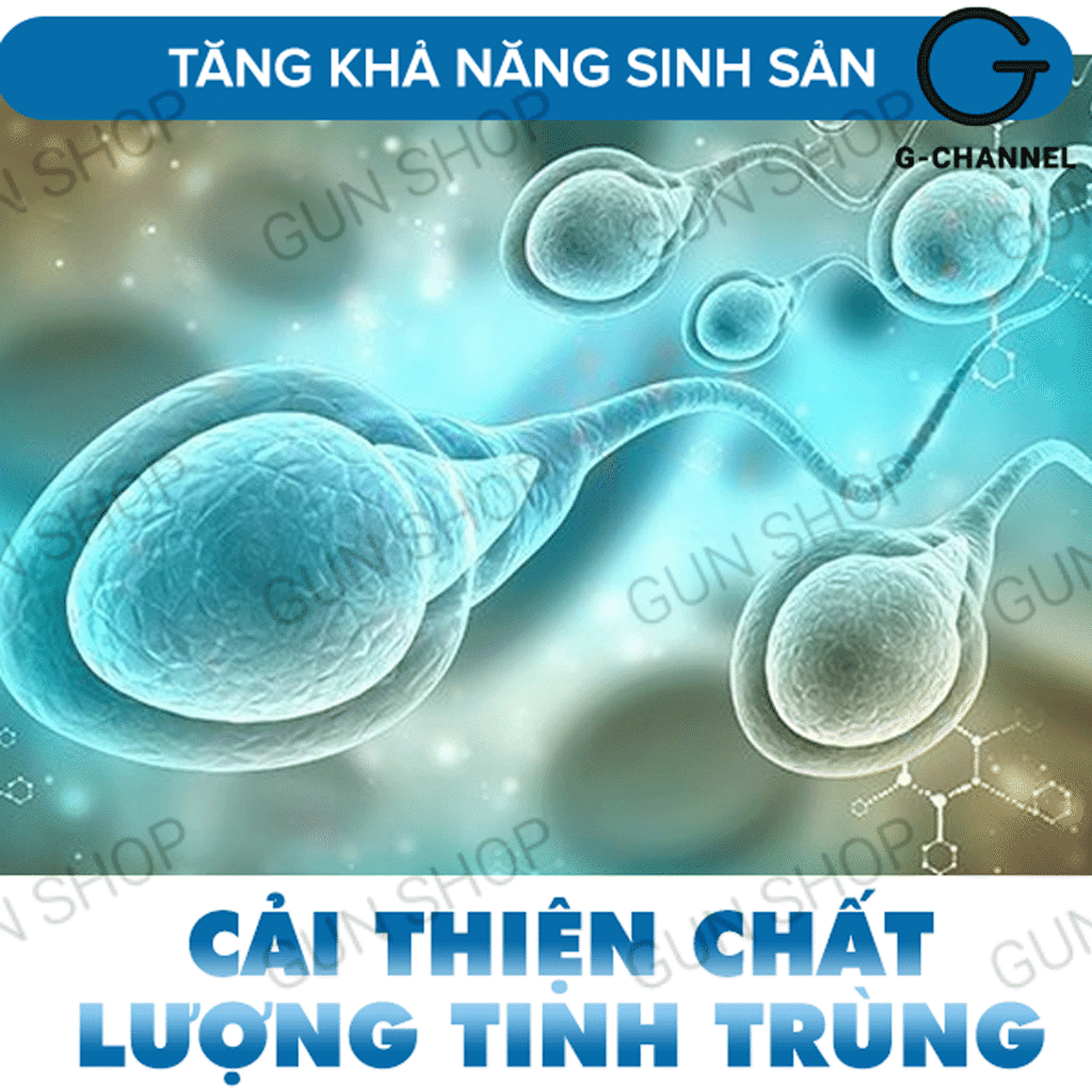 Maxman chính hãng cương dương kéo dài thời gian chống xuất tinh sớm hộp 10 viên