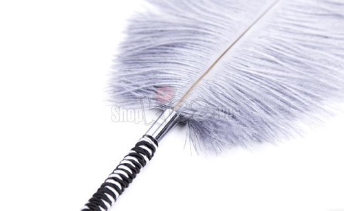 Lông chim đà điểu kích thích khoái cảm