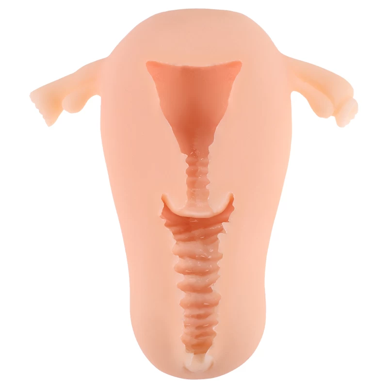 ManMiao Real Uterus âm đạo giả cầm tay mô phỏng tử cung phụ nữ