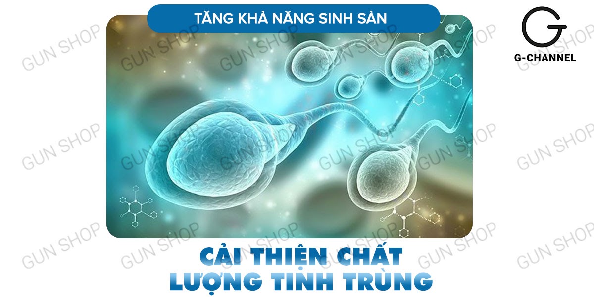  Mua Viên uống hỗ trợ cương dương tăng cường sinh lý Maxman - Hộp 10 viên hàng xách tay